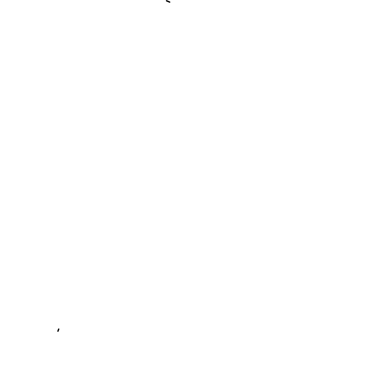 Trucker Trend